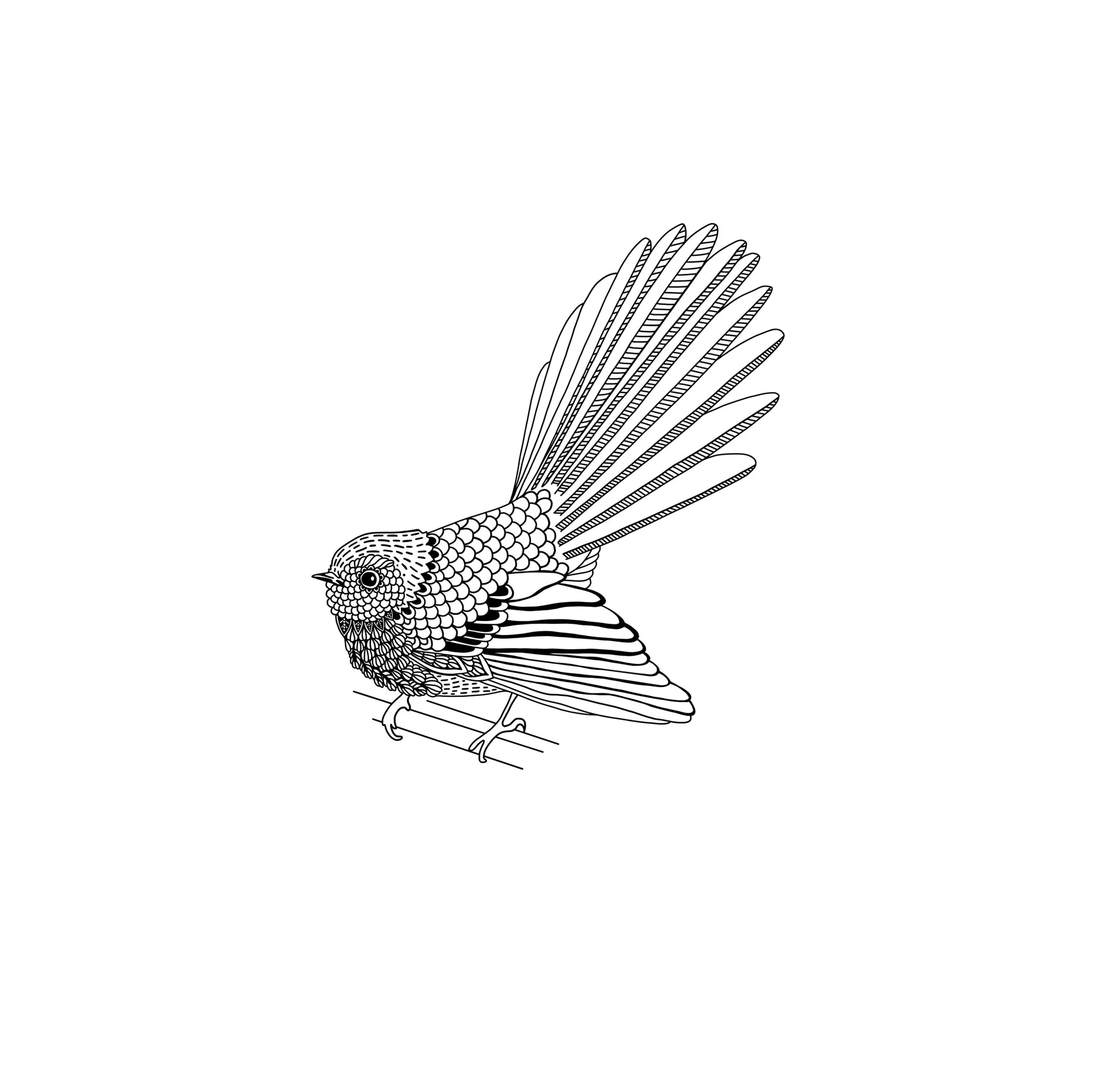 Fantail Art Print — Jennifer Greengrass
